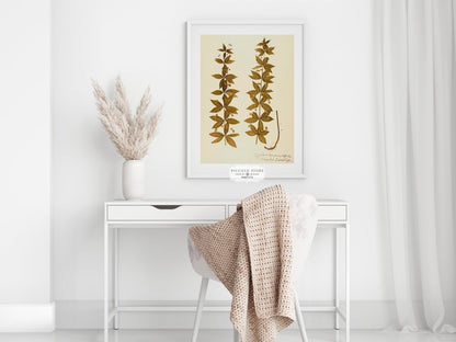 Pressed Flower Art Print | Crosswort | P432 - Single Art Prints - Piccolo Fiore Prints