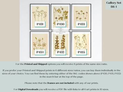 Pressed Flowers | Gallery Wall Set | 6 Prints | B6 - 1 - Gallery Wall Set - Piccolo Fiore Prints