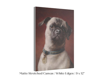 Pug | P437 - Single Art Prints - Piccolo Fiore Prints
