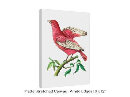 Purple Chatterer Illustration | P57 - Single Art Prints - Piccolo Fiore Prints
