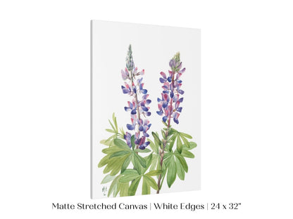 Purple/Pink Lupine Illustration | P43 - Single Art Prints - Piccolo Fiore Prints