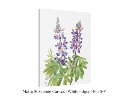Purple/Pink Lupine Illustration | P43 - Single Art Prints - Piccolo Fiore Prints