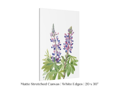 Purple/Pink Lupine Illustration | P43 - Single Art Prints - Piccolo Fiore Prints