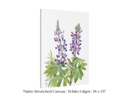 Purple/Pink Lupine Illustration | P43 - Single Art Prints - Piccolo Fiore Prints