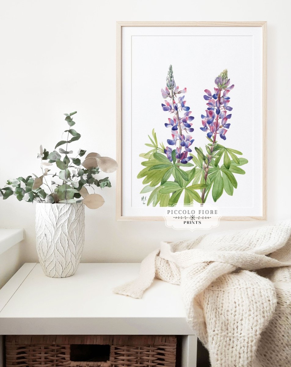 Purple/Pink Lupine Illustration | P43 - Single Art Prints - Piccolo Fiore Prints