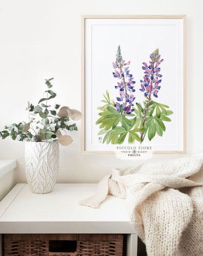 Purple/Pink Lupine Illustration | P43 - Single Art Prints - Piccolo Fiore Prints