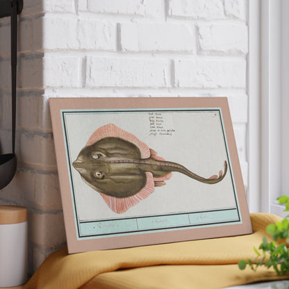 Ray Fish | Glass Chopping Board - Glass Chopping Board - Piccolo Fiore Prints