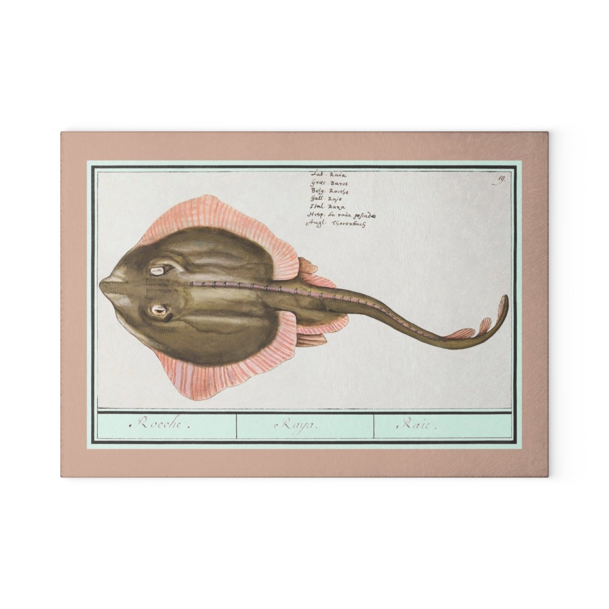 Ray Fish | Glass Chopping Board - Glass Chopping Board - Piccolo Fiore Prints