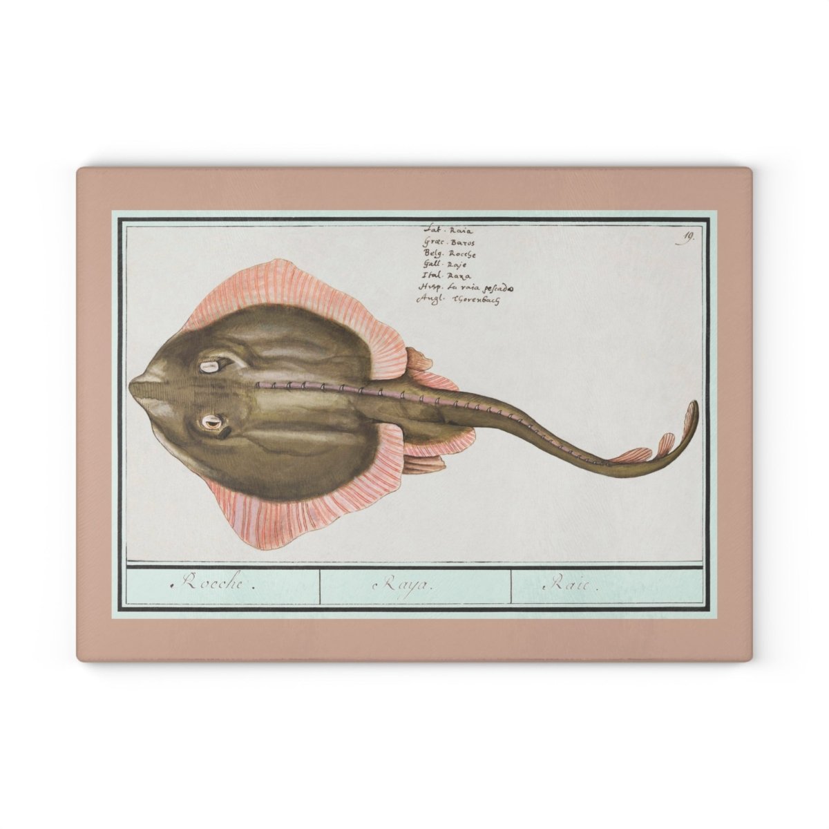 Ray Fish | Glass Chopping Board - Glass Chopping Board - Piccolo Fiore Prints