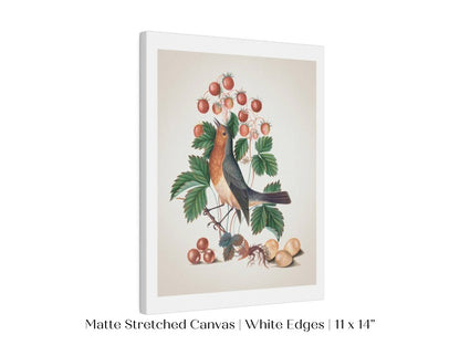 Robin and Strawberries Illustration | P385 - Single Art Prints - Piccolo Fiore Prints