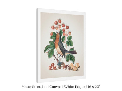 Robin and Strawberries Illustration | P385 - Single Art Prints - Piccolo Fiore Prints