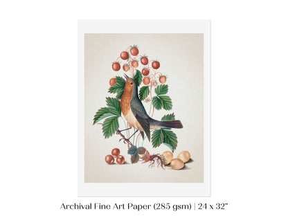 Robin and Strawberries Illustration | P385 - Single Art Prints - Piccolo Fiore Prints