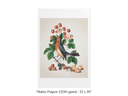 Robin and Strawberries Illustration | P385 - Single Art Prints - Piccolo Fiore Prints