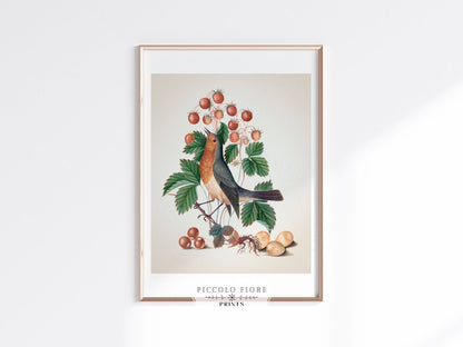Robin and Strawberries Illustration | P385 - Single Art Prints - Piccolo Fiore Prints