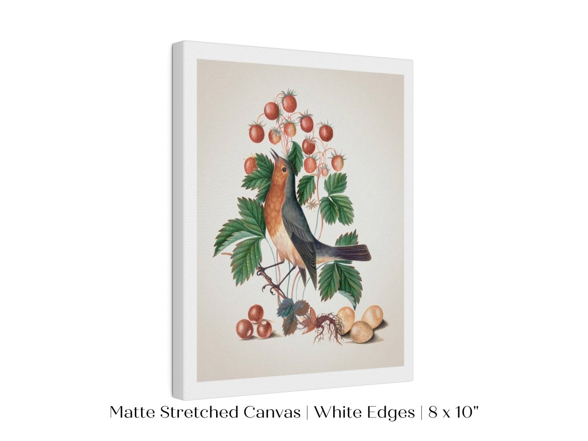 Robin and Strawberries Illustration | P385 - Single Art Prints - Piccolo Fiore Prints