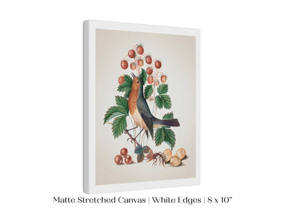 Robin and Strawberries Illustration | P385 - Single Art Prints - Piccolo Fiore Prints