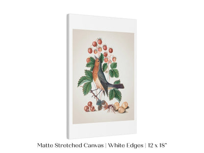 Robin and Strawberries Illustration | P385 - Single Art Prints - Piccolo Fiore Prints