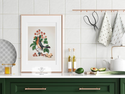 Robin and Strawberries Illustration | P385 - Single Art Prints - Piccolo Fiore Prints