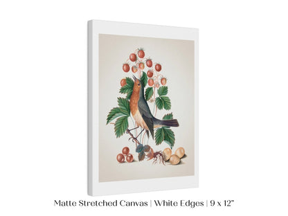 Robin and Strawberries Illustration | P385 - Single Art Prints - Piccolo Fiore Prints