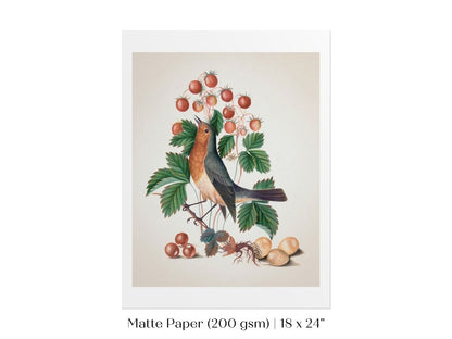 Robin and Strawberries Illustration | P385 - Single Art Prints - Piccolo Fiore Prints