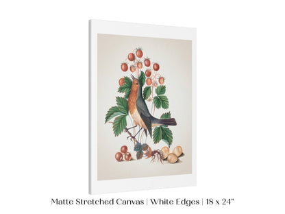 Robin and Strawberries Illustration | P385 - Single Art Prints - Piccolo Fiore Prints