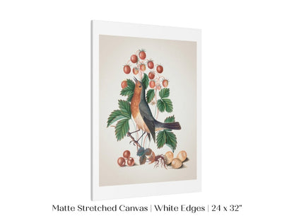 Robin and Strawberries Illustration | P385 - Single Art Prints - Piccolo Fiore Prints