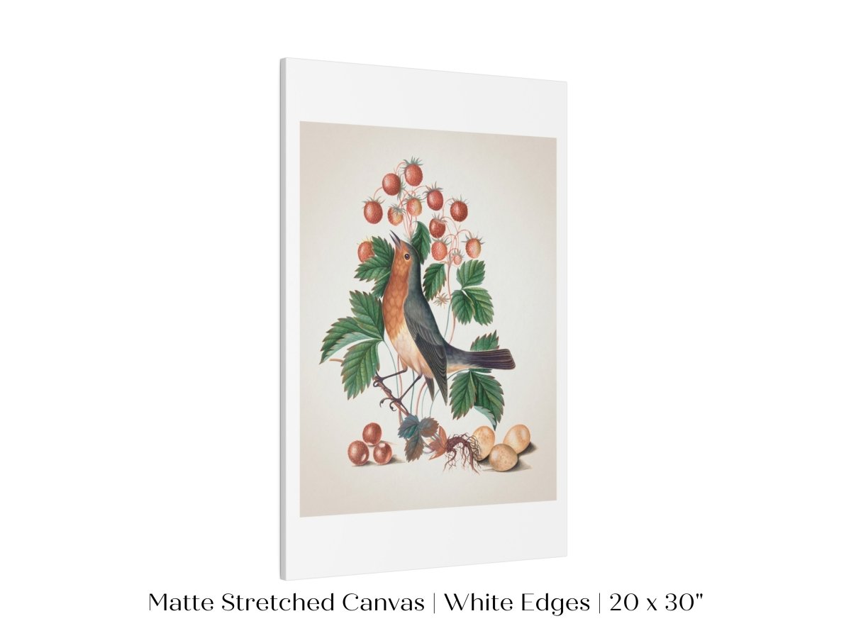 Robin and Strawberries Illustration | P385 - Single Art Prints - Piccolo Fiore Prints