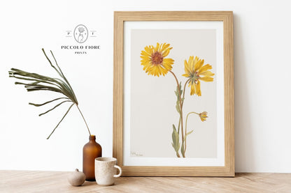 Rustic Country | Gallery Wall Set | 10 Prints | S10 - 3 - Gallery Wall Set - Piccolo Fiore Prints