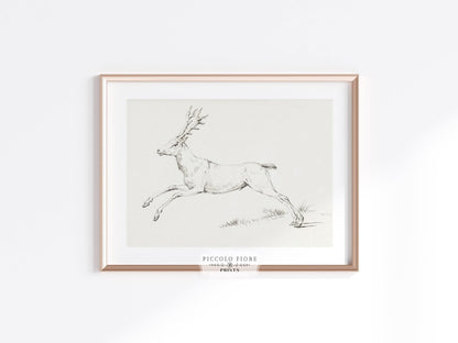 Rustic Flowers and Deer | Gallery Wall Set | 3 Prints | S7 - 2.2 - Gallery Wall Set - Piccolo Fiore Prints