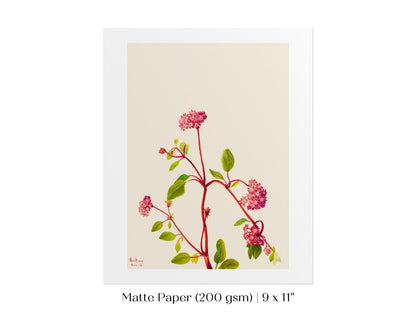 Sand Verbena Illustration | P163 - Single Art Prints - Piccolo Fiore Prints
