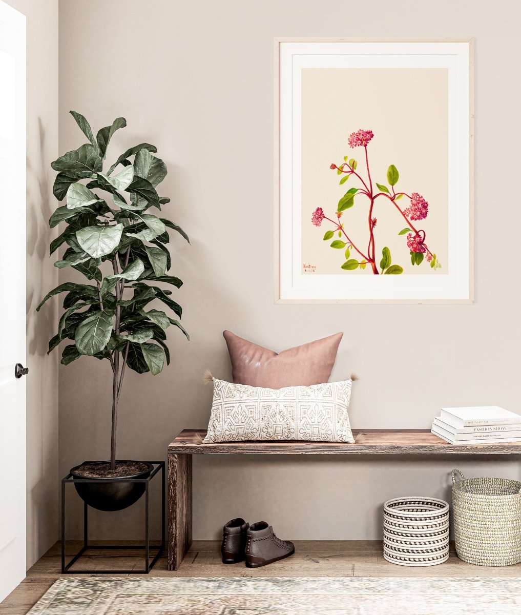 Sand Verbena Illustration | P163 - Single Art Prints - Piccolo Fiore Prints
