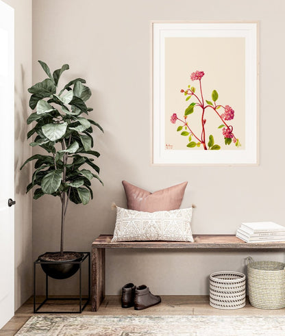 Sand Verbena Illustration | P163 - Single Art Prints - Piccolo Fiore Prints