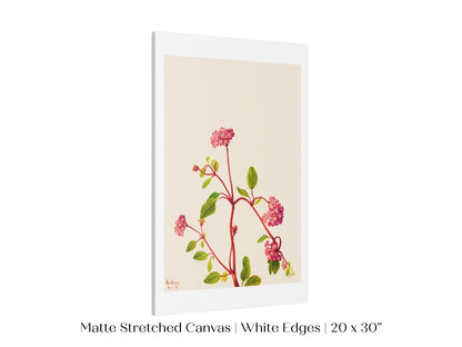 Sand Verbena Illustration | P163 - Single Art Prints - Piccolo Fiore Prints