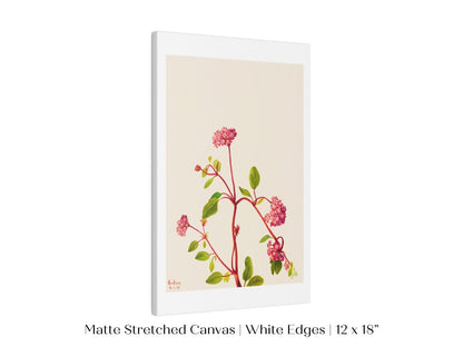 Sand Verbena Illustration | P163 - Single Art Prints - Piccolo Fiore Prints