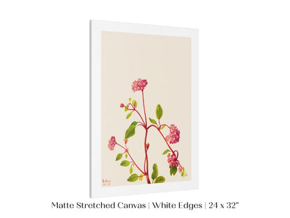 Sand Verbena Illustration | P163 - Single Art Prints - Piccolo Fiore Prints
