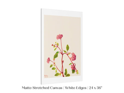Sand Verbena Illustration | P163 - Single Art Prints - Piccolo Fiore Prints