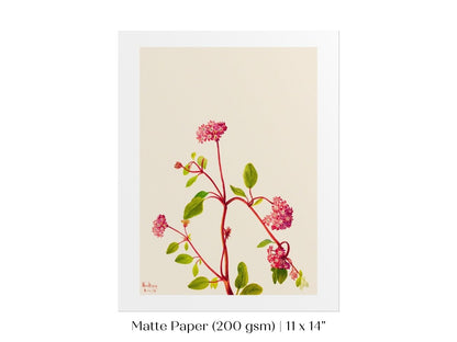 Sand Verbena Illustration | P163 - Single Art Prints - Piccolo Fiore Prints
