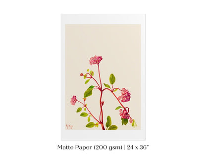 Sand Verbena Illustration | P163 - Single Art Prints - Piccolo Fiore Prints
