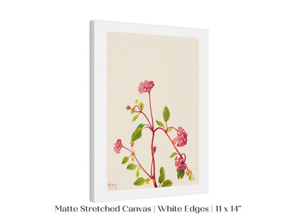 Sand Verbena Illustration | P163 - Single Art Prints - Piccolo Fiore Prints