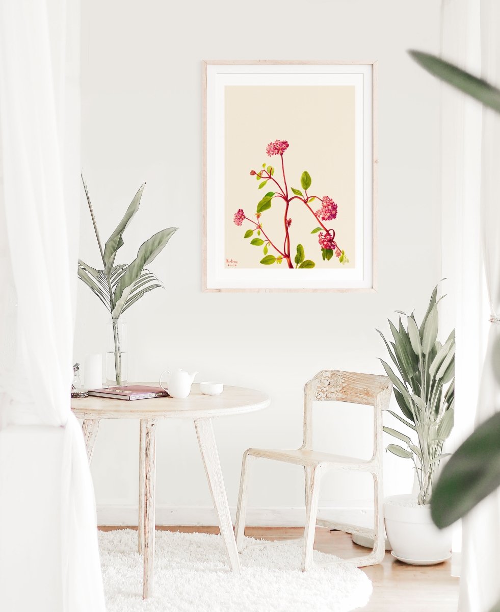 Sand Verbena Illustration | P163 - Single Art Prints - Piccolo Fiore Prints