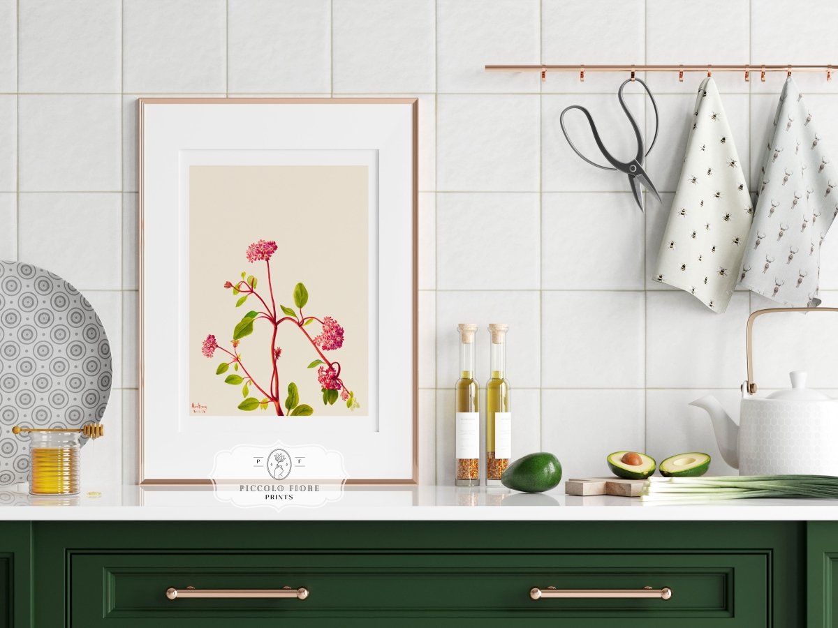 Sand Verbena Illustration | P163 - Single Art Prints - Piccolo Fiore Prints
