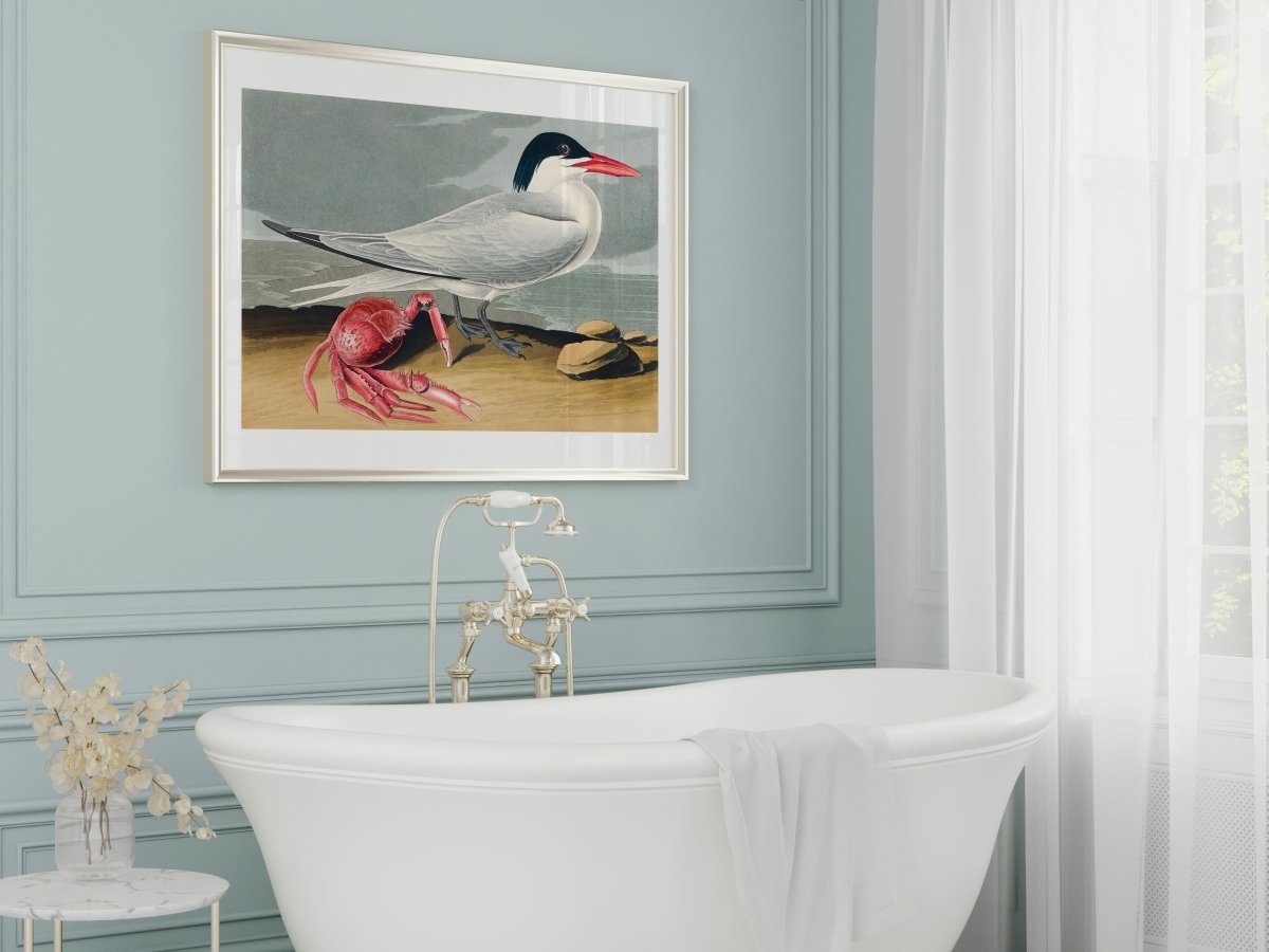 Seagull and Crab | P55 - Single Art Prints - Piccolo Fiore Prints