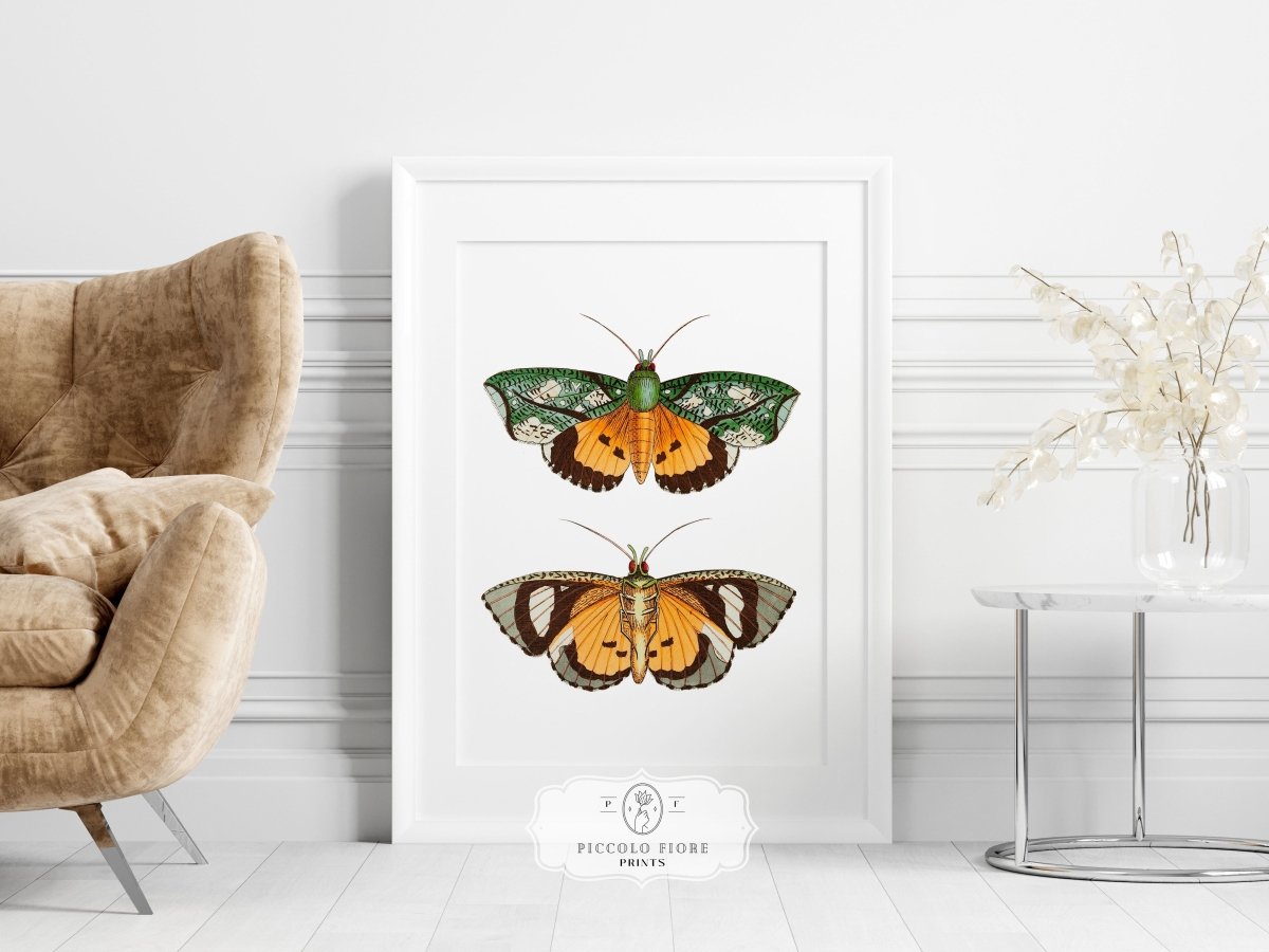 Shells and Butterflies | Gallery Wall Sets | 2 Prints | S12 - 1.1 - Gallery Wall Set - Piccolo Fiore Prints
