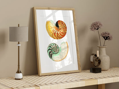 Shells and Butterflies | Gallery Wall Sets | 2 Prints | S12 - 1.1 - Gallery Wall Set - Piccolo Fiore Prints