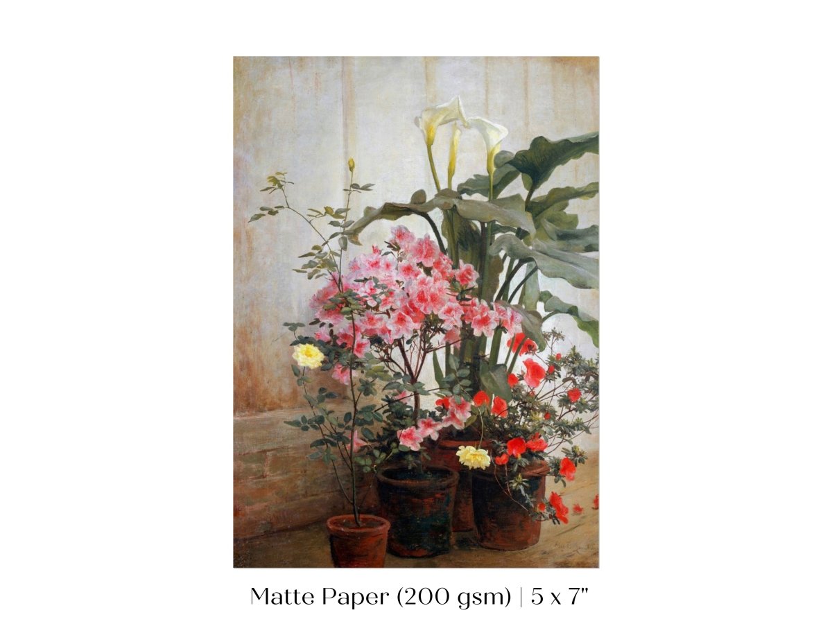 Side of a Greenhouse | P130 - Single Art Prints - Piccolo Fiore Prints