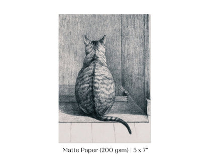 Sitting Cat Sketch | P215 - Single Art Prints - Piccolo Fiore Prints