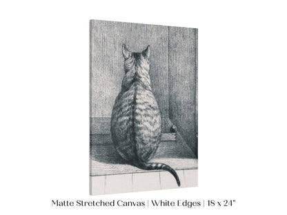 Sitting Cat Sketch | P215 - Single Art Prints - Piccolo Fiore Prints