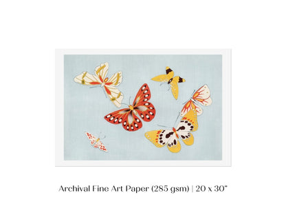 Six Yellow & Red Butterflies | Vintage Japanese Art | P256 - Single Art Prints - Piccolo Fiore Prints