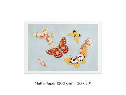 Six Yellow & Red Butterflies | Vintage Japanese Art | P256 - Single Art Prints - Piccolo Fiore Prints
