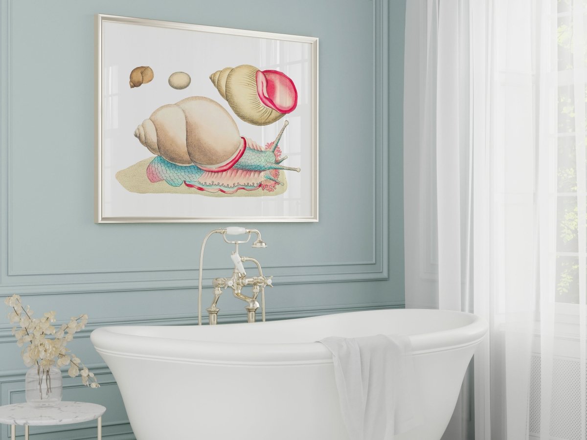 Snail Illustration | P56 - Single Art Prints - Piccolo Fiore Prints